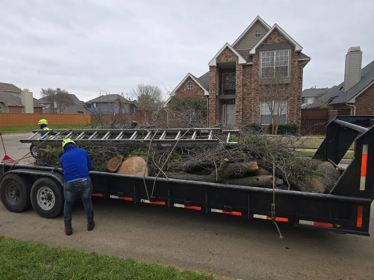 Expert Tree Pest Control with proper safety equipment in Sand Creek